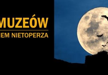 Nietoperze z bliska - wyjątkowe warsztaty z naszej szkole!